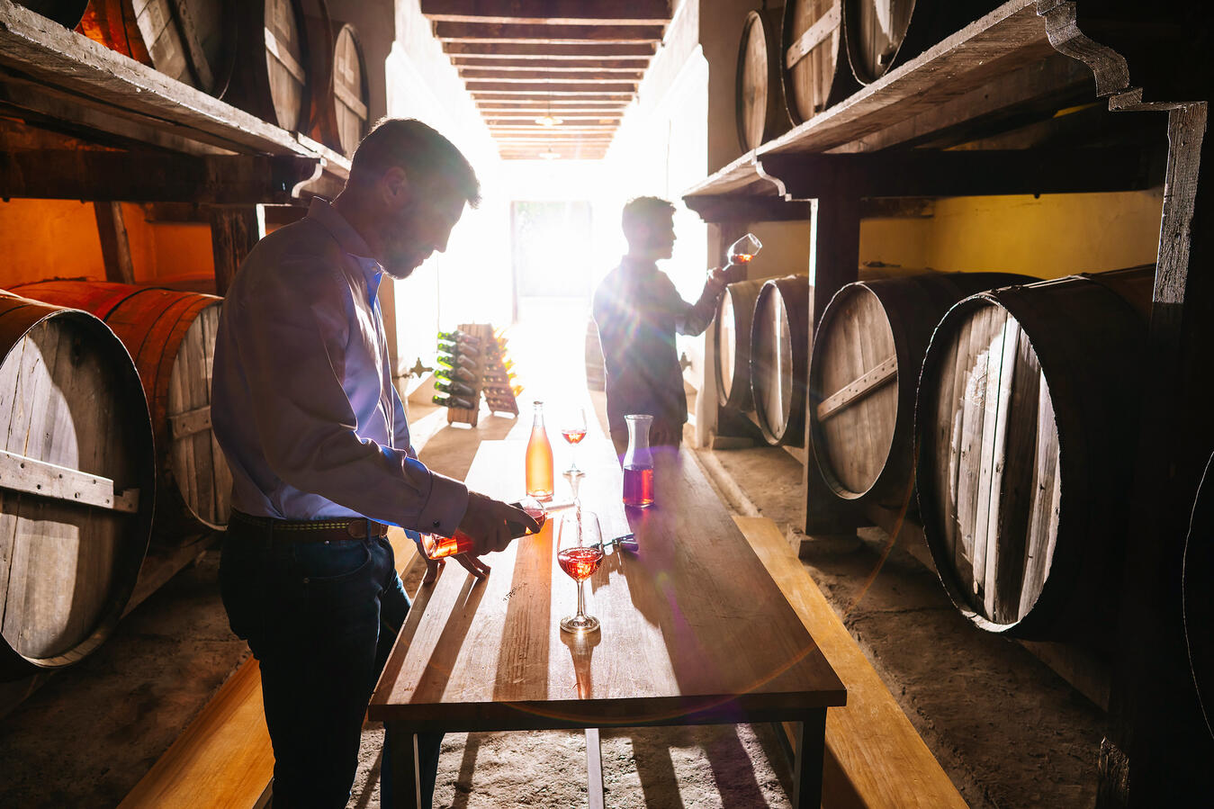 CATA DE VINOS EN BODEGA Winery tasting
