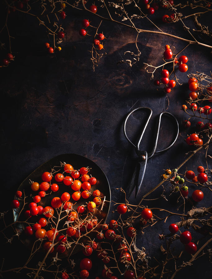 TOMATES CHERRY TOMATES CHERRY