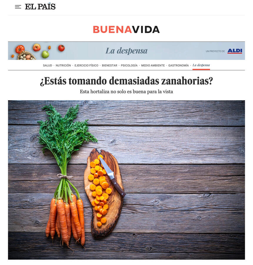 EL PAIS: La despensa de Aldi EL PAIS: La despensa de Aldi