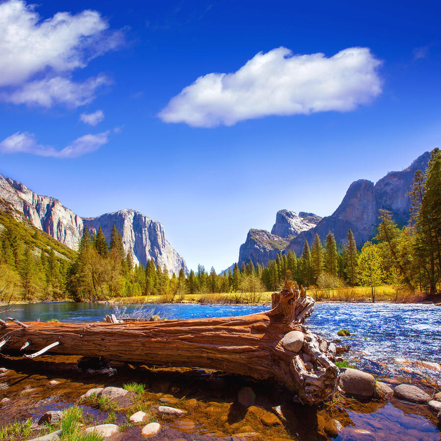 YOSEMITE Merced River YOSEMITE Merced River